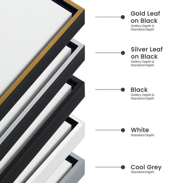 Cardinali Floater Frame Colors